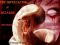 [The Imprecation of Wizards 01] • The Imprecation of Wizards :Red Dream